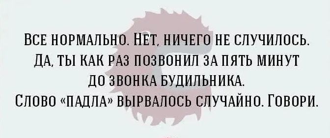 Все нормально. Нет, ничего не случилось. Да, ты как раз позвонил за пять минут до звонка будильника. Слово «падла» вырвалось случайно. Говори.