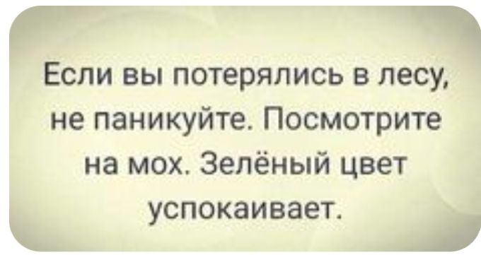 Если вы потерялись в лесу непаникуйтеПосмотрите на мох Зелёный цвет успокаивает ЗЫ