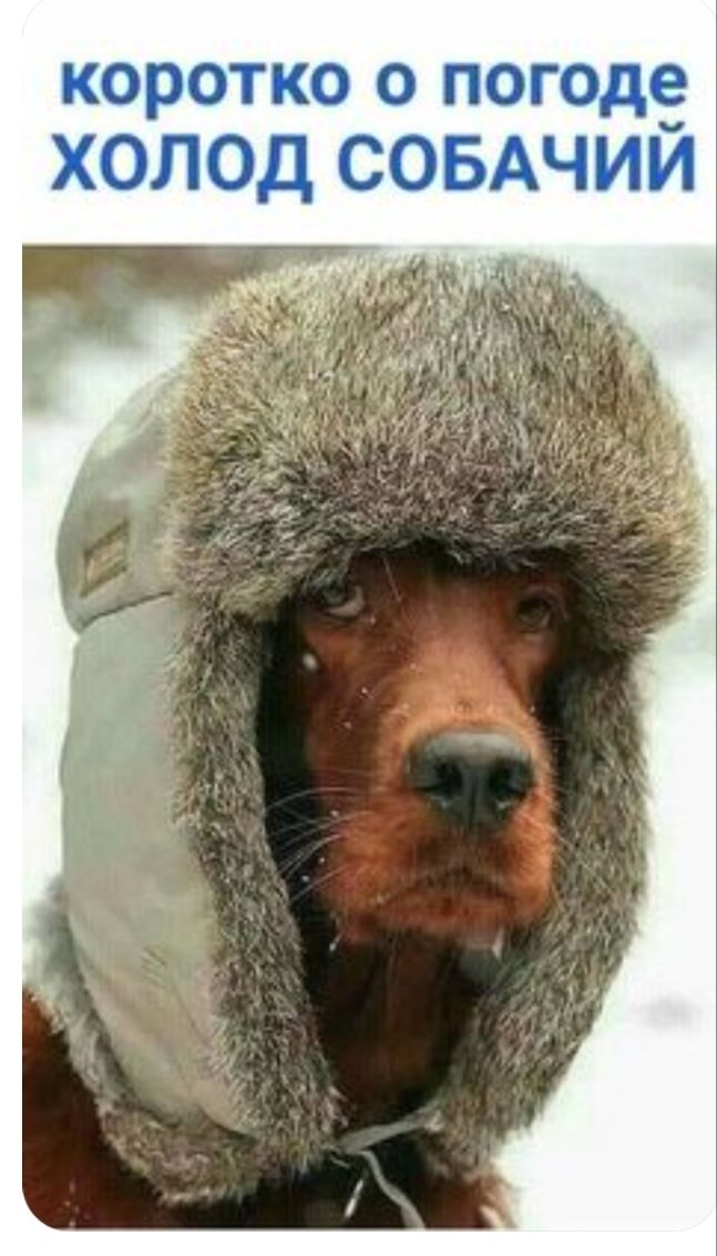корп то о погоде и Ю 51 ьбэдЧЕ
