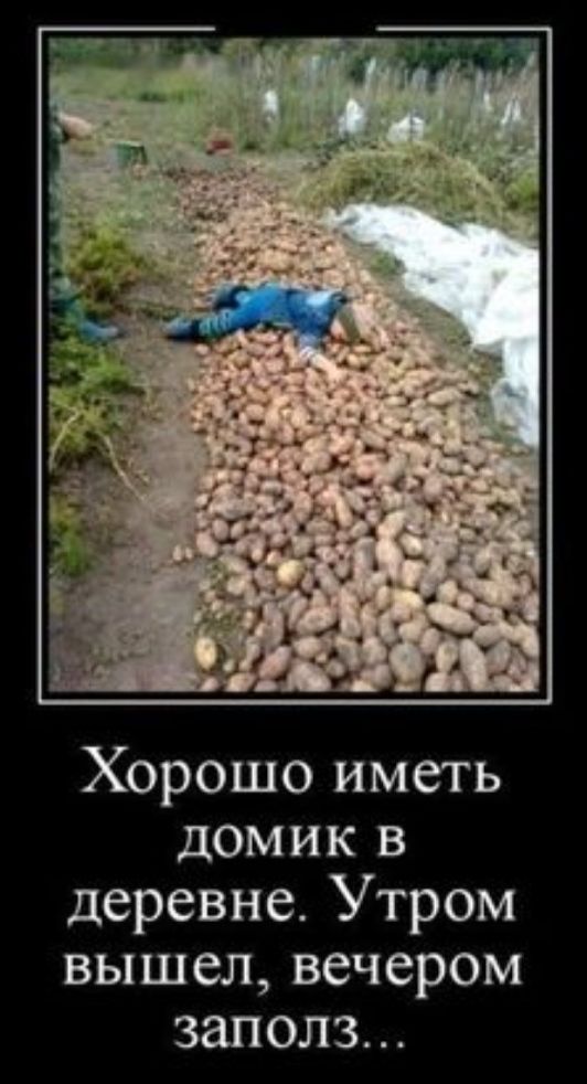 Хорошо иметь домик в деревне Утром вышел вечером заполз