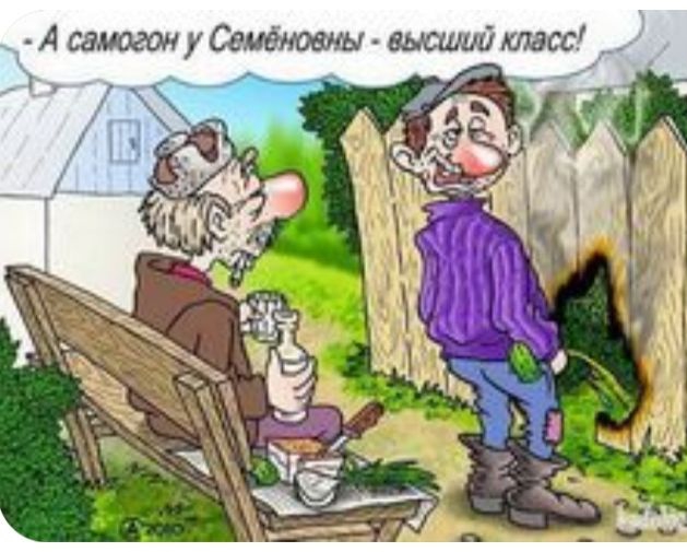 А самоган у Семёновгы высший 00