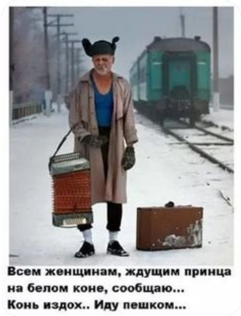Всем женщинам идущим принца на белом кон сообщаю Конь вздох Иду пешком