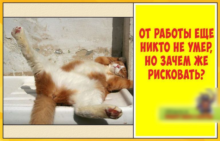НО ЗАЧЕМ ЖЕ РИСКОВАТЬ