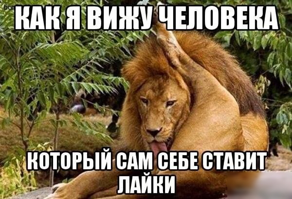 _ _ _хд _ НАНЯВИШУЧЕППВЕНП к ч _ _ _ 1 _ п _ _ И _ УЁ_ _ г 3 _У нбТогый едм отв іітдвит а ЛАЙН і