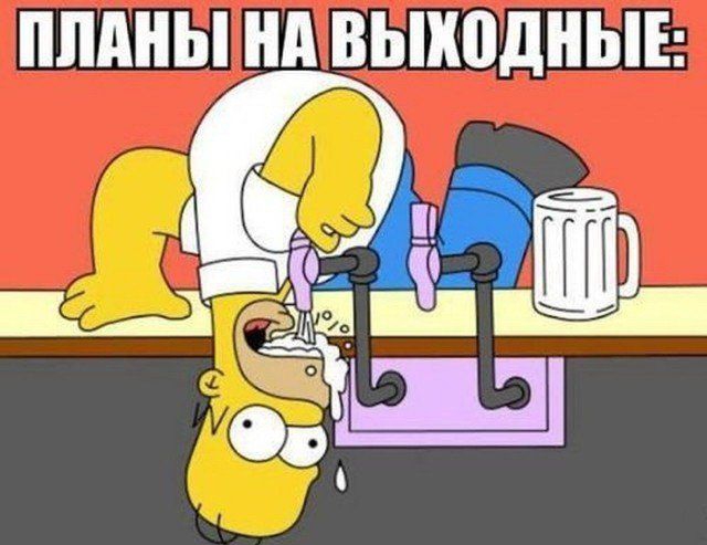 ПЛАНЫ нд ВЬПЮДНЫЕ О Ні
