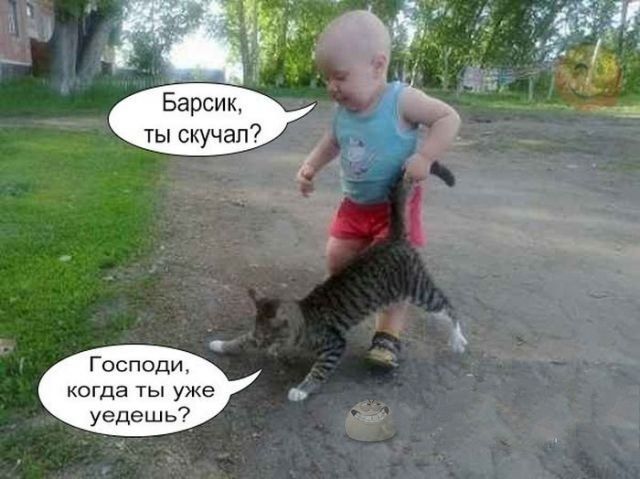 13 У Барсик ты скучал Господи когда ТЫ уже 1 уедеш ь