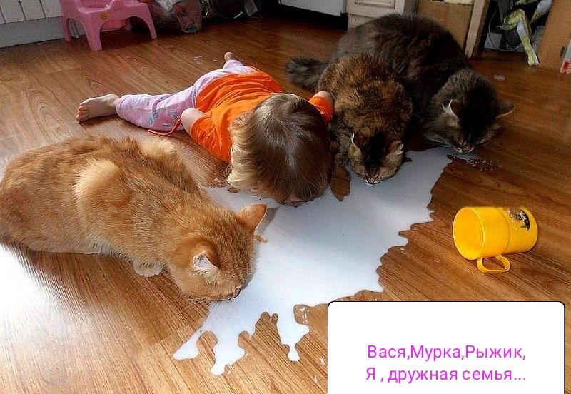 Ц