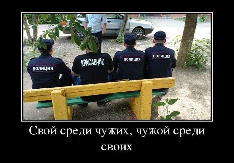 Минни іюпицп Свой среди чужих чужой среди своих