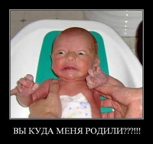 ВЫ КУДА МЕНЯ РОДИЛИ