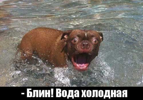 й БЛИН Вода ко