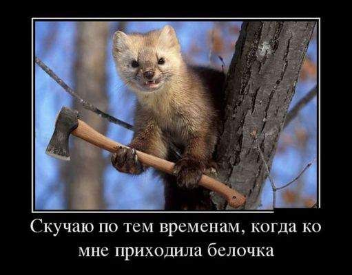 Скучаю ПО ТСМ временам когда КО МНС приходила белочка