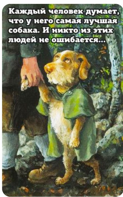 Каждый чеповек дуиает что у иен обама пучшгяъ собака и ииитіёйіги _ людей не шифре пя