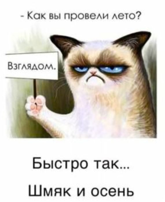 Как вы провем Аето Быстро так Шмяк и осень