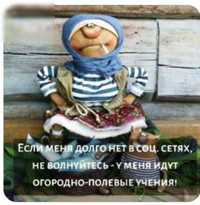 не вот отп найдут огородно полевые учения