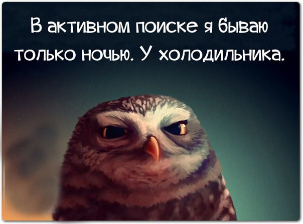 В активном ПОИСКЭ Я бываю ТОЛЬКО НОЧЬЮ У ХОЛОДИЛЬНИКЭ
