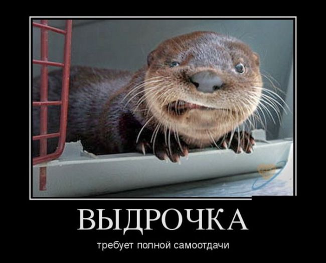 ВЫДРОЧКА требует полной самоотдачи