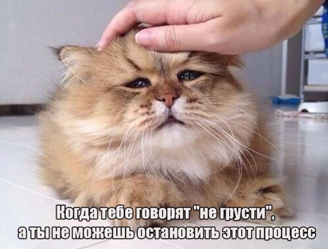за ювшіптнег