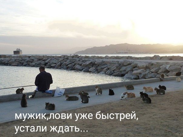 мужикпови уже быстрей устали ждать