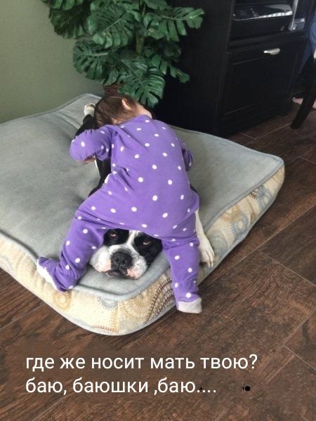где же носит мать твою баю баюшки баю