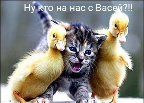 Ні о на нас с Вас