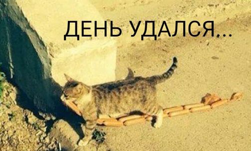 ДЕНЬ удАлся