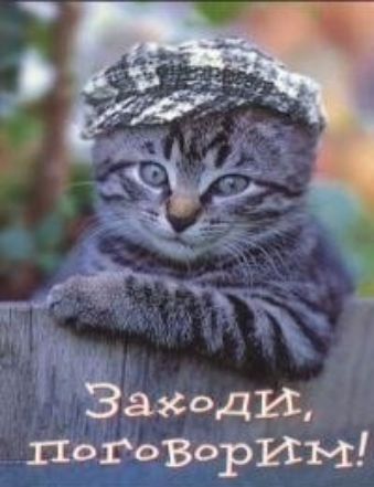 г а 4 д ы Заходи пагдворИМ