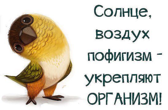 Солнце воздух пофигизм _ укрепляют ОРГ АНИЗМ