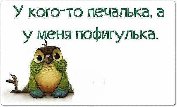 У кого то пецапька а у меня пофигупька