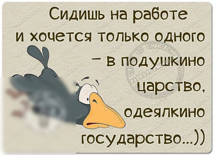 Сидишь на работе и хочется только одного в пбдушКино ЁЦарство одеяпкино государство