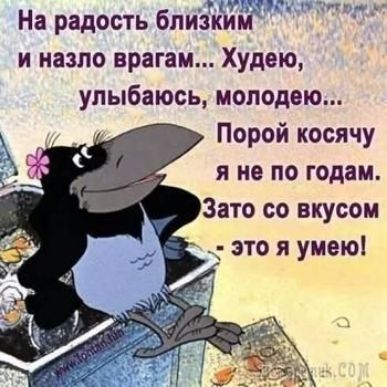 На радость близким и назло врагам Худею улыбаюсь моподею Порой косячу я не по годам Зато со вкусом _ это я умею
