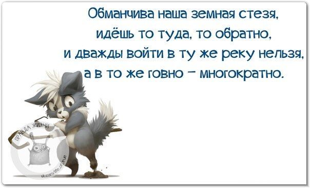 обманчива наша земная стезя Идёшь то туда то обратно и дважды войти в ту же реку нельзя а В ТО же ГОВНО _ МНОГОКРБТНО