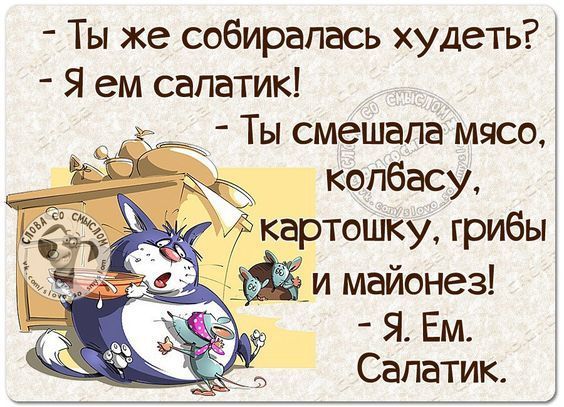Ты же собиралась худеть Я ем салатик Ты смешала мясо колбасу картошку грибы _и майонез Я Ем Сапатик