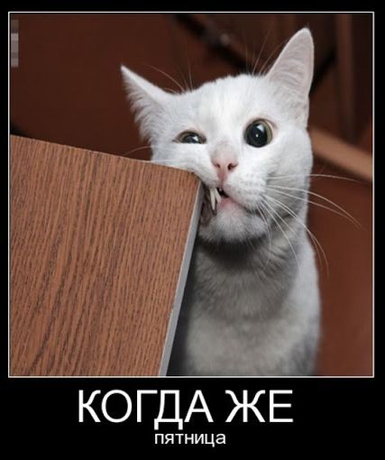КОГДА пятница