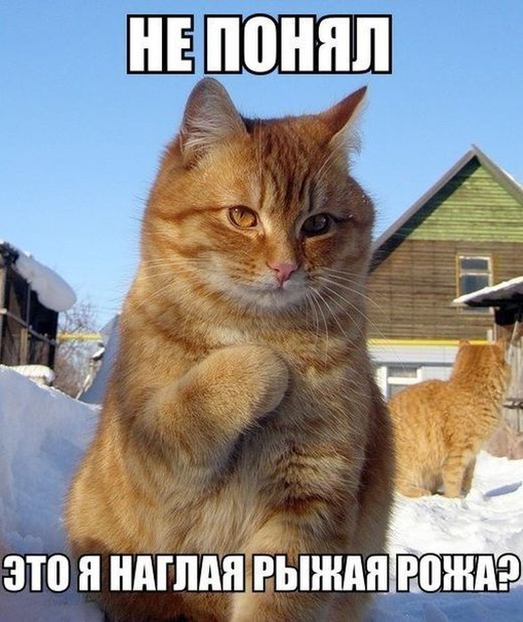 это я ндгпщгыждп