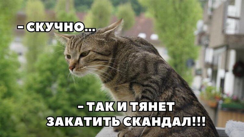 ЗАКАТ А итЁ Ё СКАНДАЛ _ ЯНЕ