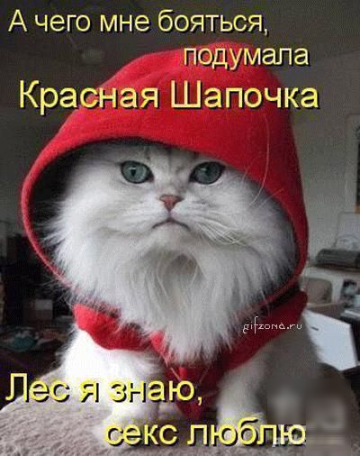 А чего мне бояться подумала Красная Шапочка