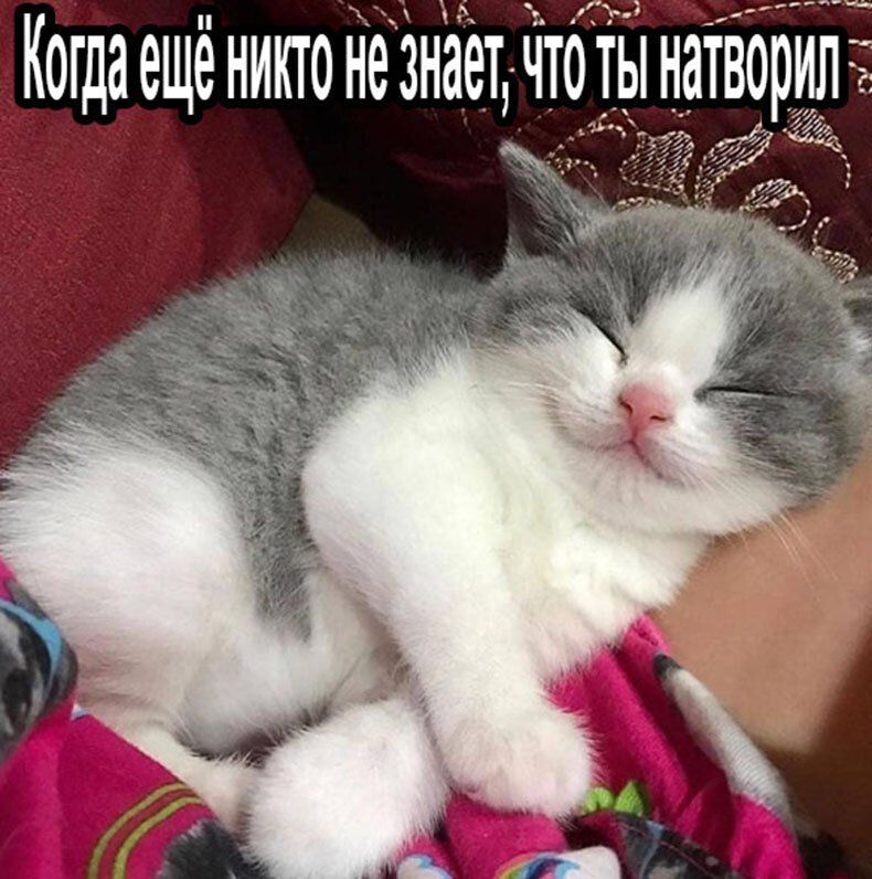 и 175 12543