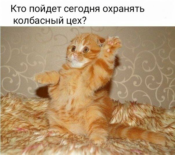 Кто пойдет сегодня охранять копбасный цех