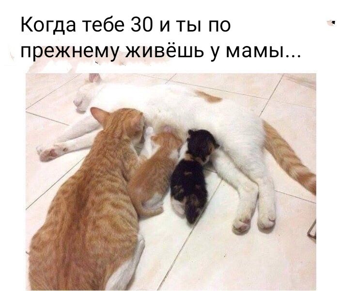 Когда тебе 30 и ты по прежнему живёшь у мамы
