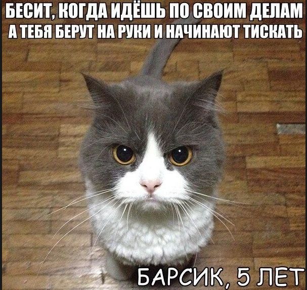 БЮИТ МДП ИДЁШЪ по своим дШдМ ТЕБЯ БЕРП нп ИЩИ И НАЧИШШП ТИСШПЬ