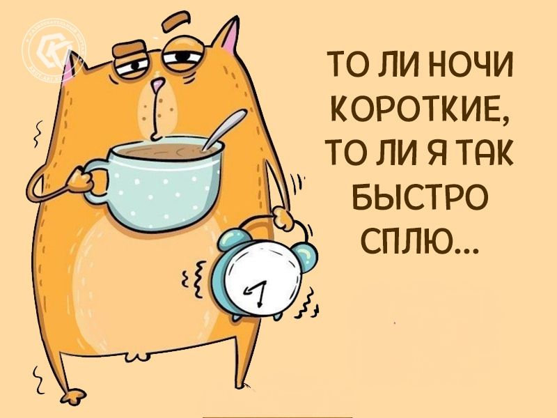 то ли ночи КОРОТКИЕ то ли я так БЫСТРО сплю