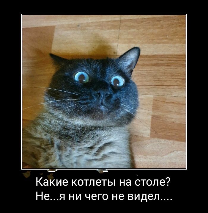 Какие котлеты на Столе Нея ни чего не видел