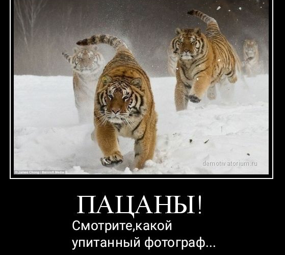ПАЦАНЫ Смотритекакой упитанный фотограф