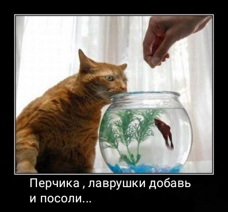 Перчика лаврушки добавь и посоли