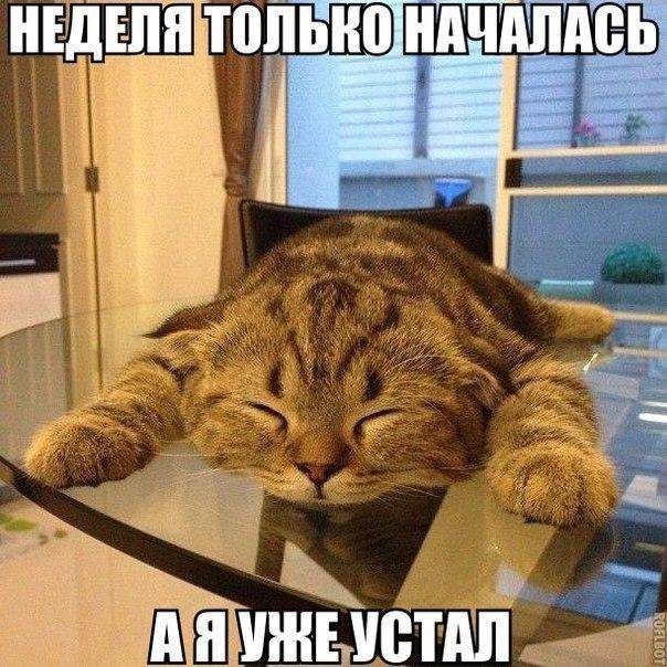 ШУШБТШ