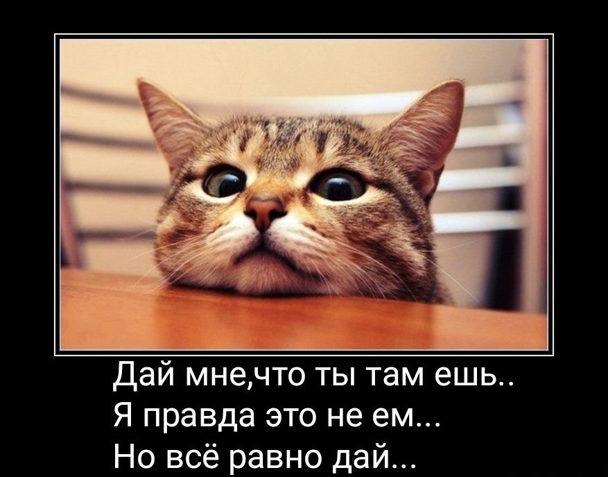Дай мнечто ты там ешь Я правда это не ем Но всё равно дай