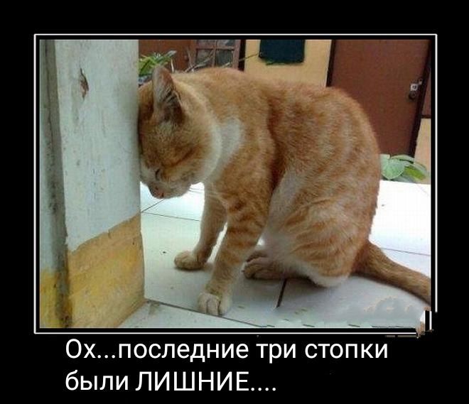 0хпоследние три стопки были ЛИШНИЕ