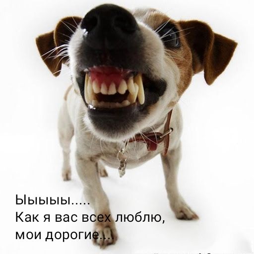 Ыыыыы Как я вас вс люблю мои дороги