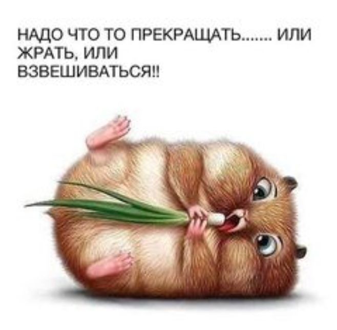 НАДО ЧТО ТО ПРЕКРАЩАТЬ ИЛИ ЖРАТЬ ИЛИ БЗВЕШИВАТЬСЯИ