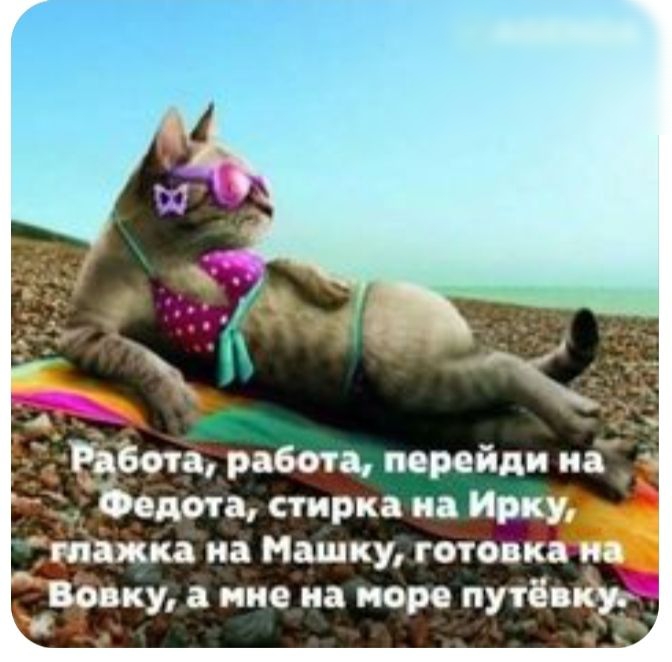 дата стирка из нём ка на Мишку готы